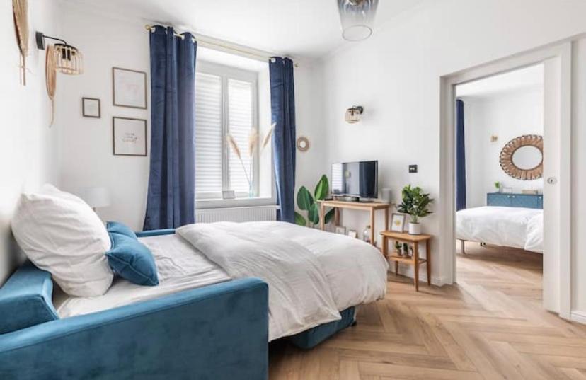 Appart Deluxe Prive Strasbourg Centre Avec Parking Gratuit Ngoại thất bức ảnh